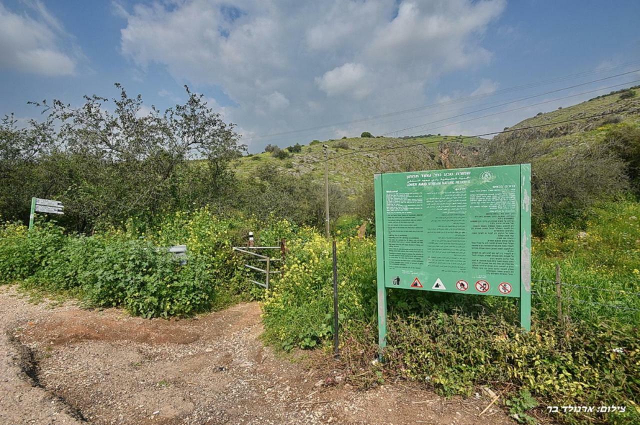 Mul Kinneret Livnim Eksteriør bilde