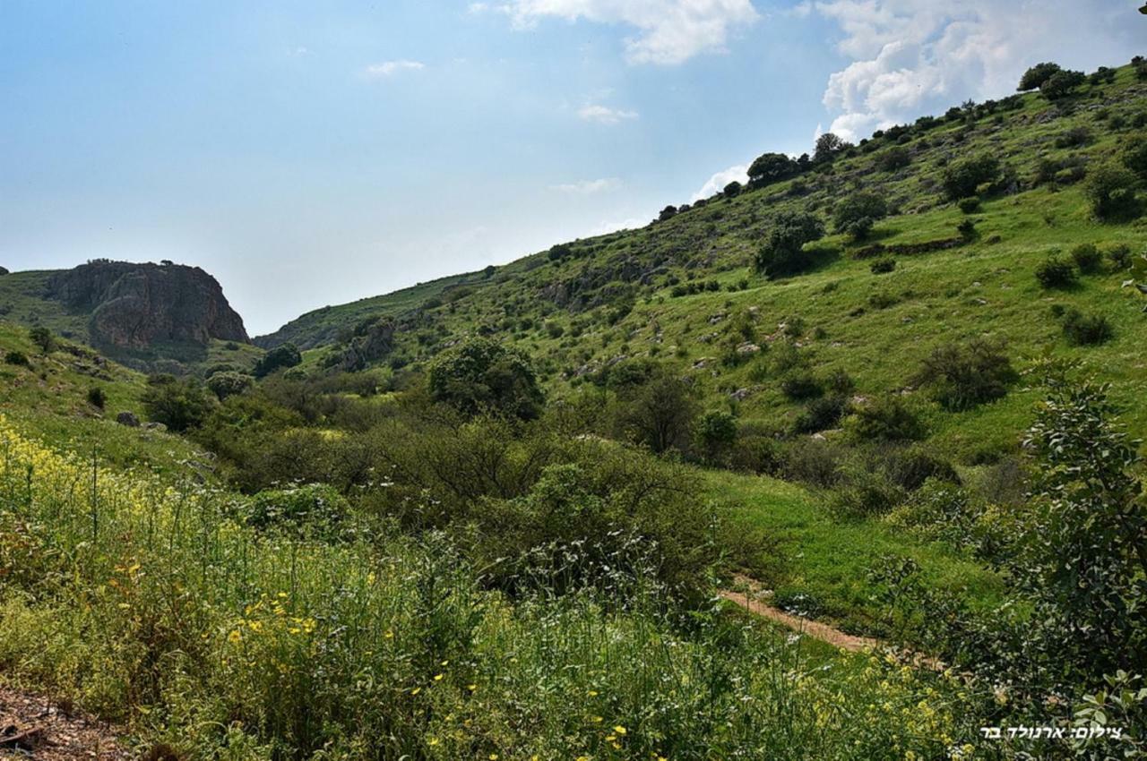 Mul Kinneret Livnim Eksteriør bilde